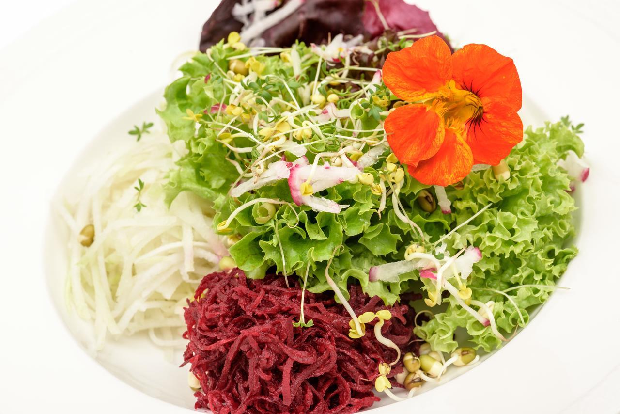 Berghues Schratt - Einfach Anders - Ihr Vegetarisches Und Veganes Biohotel Оберштауфен Экстерьер фото
