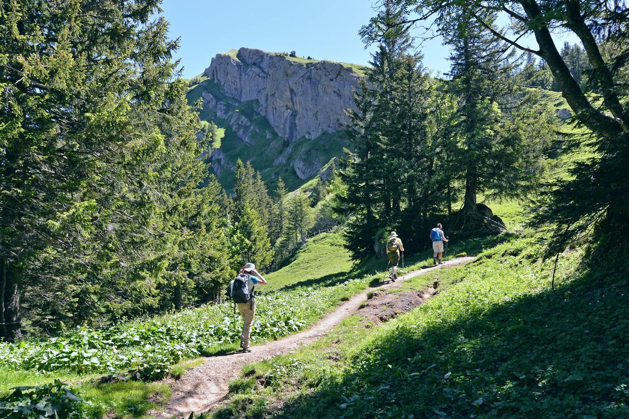 Berghues Schratt - Einfach Anders - Ihr Vegetarisches Und Veganes Biohotel Оберштауфен Экстерьер фото