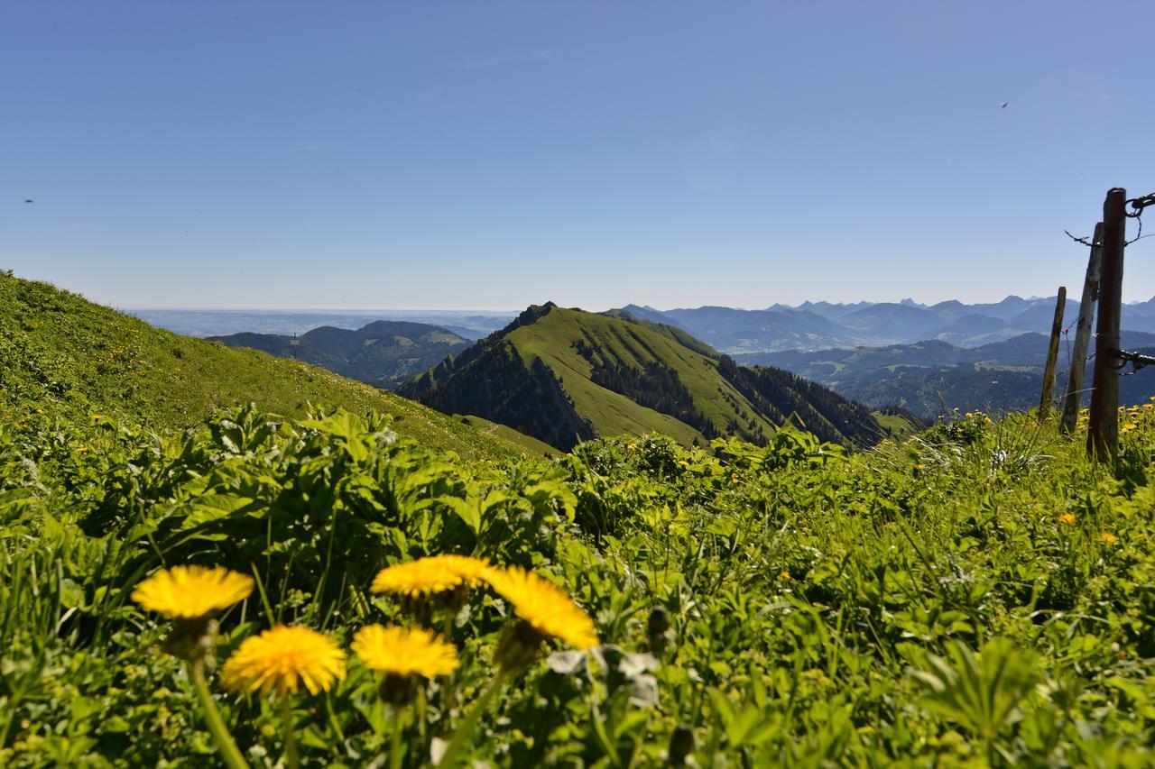Berghues Schratt - Einfach Anders - Ihr Vegetarisches Und Veganes Biohotel Оберштауфен Экстерьер фото
