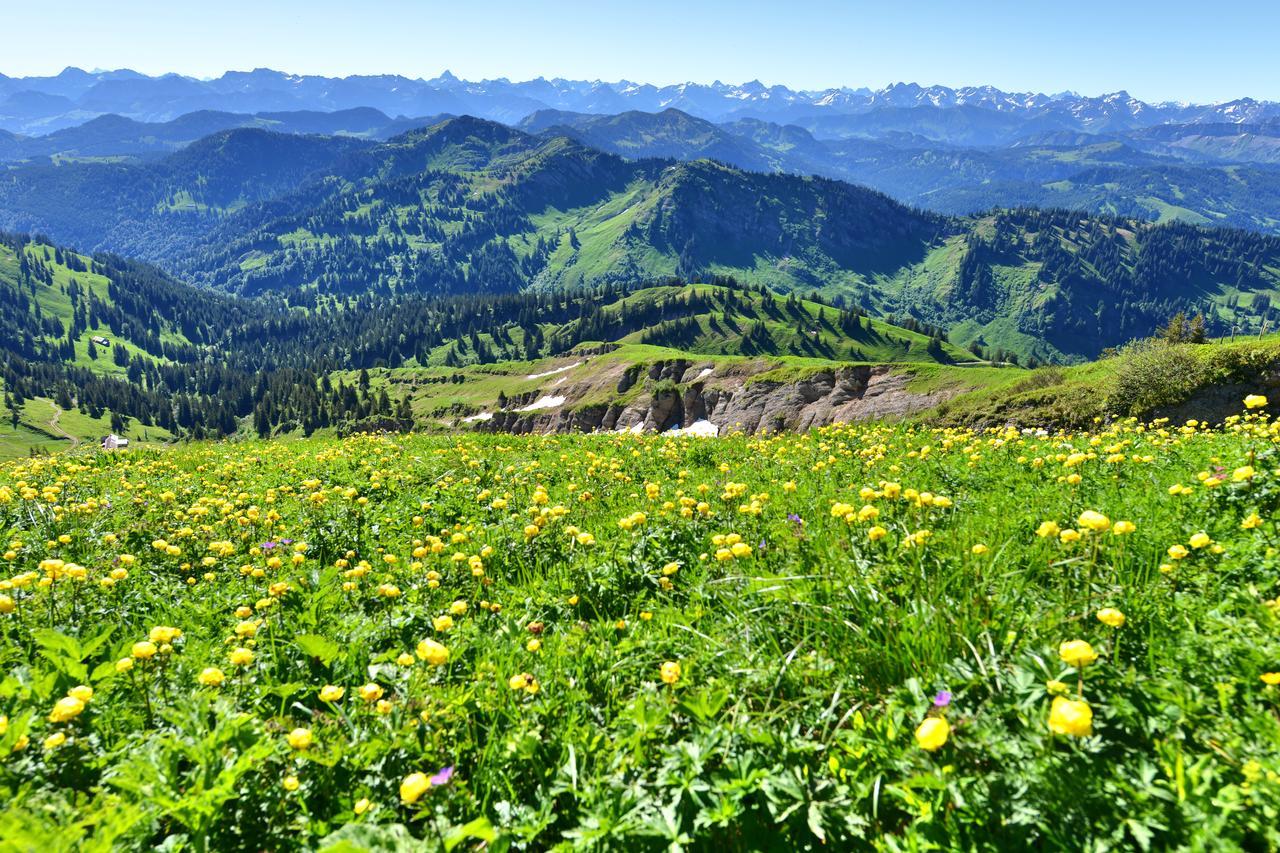 Berghues Schratt - Einfach Anders - Ihr Vegetarisches Und Veganes Biohotel Оберштауфен Экстерьер фото